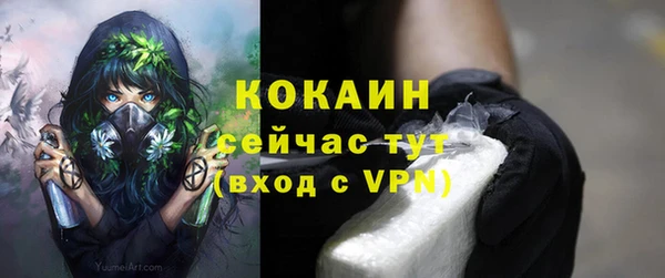 меф Гусь-Хрустальный
