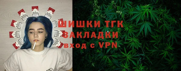 СК Дмитров