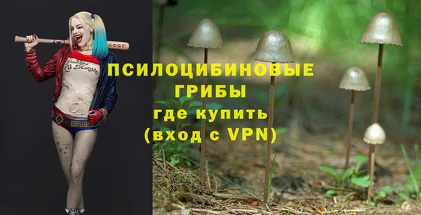 ГАЛЛЮЦИНОГЕННЫЕ ГРИБЫ Гусиноозёрск