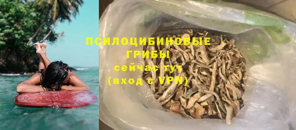 Альфа ПВП Гусев